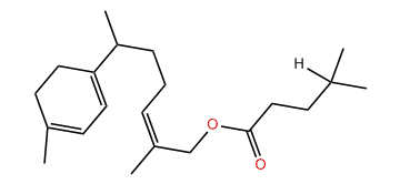 (Z)-gamma-Curcumen-12-yl isovalerate